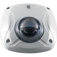 960H 700TVL IR Wedge Camera